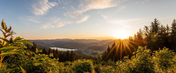 Nationalpark Schwarzwald