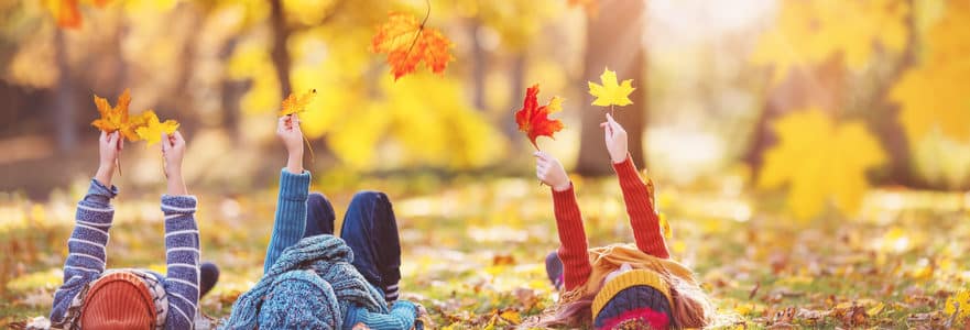 Aktivitäten für deinen Herbst im Nordschwarzwald